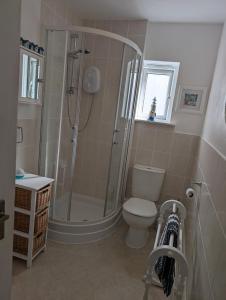 a bathroom with a shower and a toilet at Bijou in St Ives