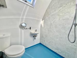 Un baño con ducha, inodoro y lavabo. en The Lair, en Frome