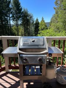 una griglia seduta in cima a un ponte di Glass Cabin Under the Pines | Hot Tub • Seclusion a Willow Valley