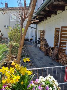a garden with yellow flowers in a yard at Ferienwohnung "HeX N-STuBe" in Weißenburg in Bayern