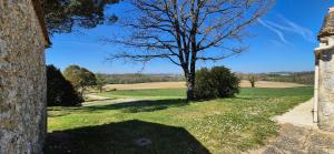 Příroda nedaleko prázdninového domu