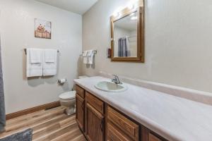 a bathroom with a sink and a toilet and a mirror at Boulder Junction Motor Lodge in Boulder Junction +26 photos