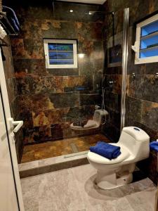 a bathroom with a shower with a toilet and a shower at Cozy House with Terrace in Upper Prince's Quarter in Upper Prince's Quarter
