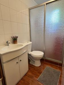 a bathroom with a toilet and a sink and a shower at Cabaña Andrea in Curacautín