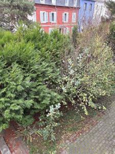a garden with bushes and flowers in front of a building at Le Nid de Louise, near highway in Mulhouse