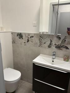 a bathroom with a sink and a toilet and a mirror at Le Nid de Louise, near highway in Mulhouse +3 photos