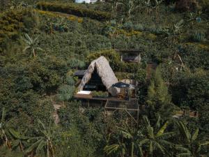 an overhead view of a house surrounded by trees at La Cima Eco Hotel in Buenavista