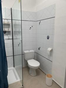 a bathroom with a toilet and a shower at Coeur de Bédoin in Bédoin +3 photos