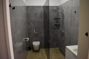 a bathroom with a shower with a toilet and a sink at Sunset Lovers Residence in Liepāja +17 photos