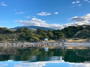 un allevamento di uccelli sulla riva di un corpo idrico di Glamping in the middle of nature and ocean view a Punta Arenas