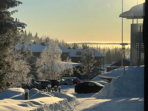 Ruka Vuosselin Helmi C7 v zimě