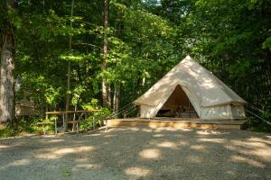 Příroda nedaleko luxury tent