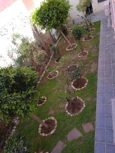 a garden with some plants in the grass at 1 min de la plage in Essaouira