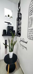 a table with a potted plant sitting on top of it at EXCELENTE CONJUNTO, UBICACION PRIVILEGIADA, Torre 3 in Armenia +20 photos