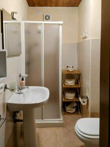 a bathroom with a shower and a sink and a toilet at Dimoramica LTB in Foligno +61 photos
