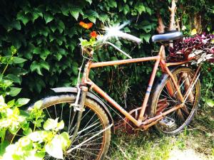 a bike parked in the grass next to some flowers at En La Plata Hostel El Pampa in La Plata