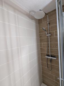 a shower with a shower head in a bathroom at Charmant T2 wifi parking gratuit 4 personnes in Esquièze - Sère