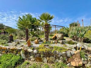 a garden with palm trees and rocks and plants at Colori di Sardegna Apartments in Bari Sardo