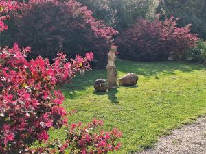 Zahrada ubytování Casa Mattia - B&B in Legno & Paglia