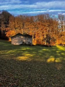 Příroda nedaleko prázdninového domu