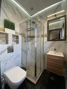 a bathroom with a shower and a toilet and a sink at AL Barbinha in Faro +77 photos