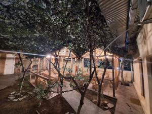 a tree in front of a house at night at Li-Yes Qanaqer in Yerevan