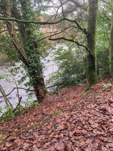 Φωτογραφία από το άλμπουμ του Country Mill House σε Lawrencetown