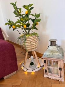 Ảnh trong thư viện ảnh của Villa Veleslavín ở Prague