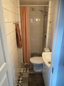 a bathroom with a toilet and a shower at Suncity nr 3 in Borgholm