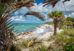 a beach with palm trees and people walking on the beach at 1BR Venice home with private beach access - Golden Beach Haven in Venice