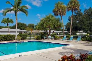 サラソタにあるCharming lakefront condo located in the desirable community of Palm Aireの椅子とヤシの木のあるプール