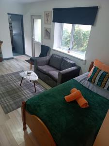 a living room with a bed and a couch at Cosy Garden Flat near Bay & City Centre - Fast Wifi, 5 mins to centre in Cardiff