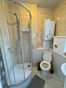 a bathroom with a shower and a toilet and a sink at Marvellous property for 8 people in Battersea - Zone 1, 3 min walking from the main Station in London