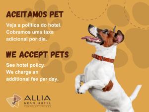 Pet ou pets ficando com hóspedes em Allia Gran Pampulha Suites