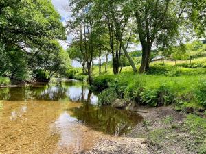 Příroda nedaleko prázdninového domu