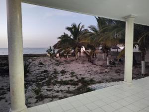 Blick auf einen Strand mit Palmen und das Meer in der Unterkunft Casazul oceanfront in Chelem! in Chelem