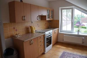 a kitchen with a stove and a window in it at Apartmán Hartvíkovice in Hartvíkovice