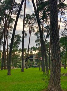 Zahrada ubytování Kulautuva Park Apartments