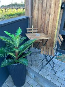 a wooden table and a plant next to a bench at Suite LIANA - SPA- SAUNA in Rorschwihr
