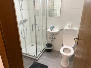 Koupelna v ubytování Pension Engin + 12 fotografií