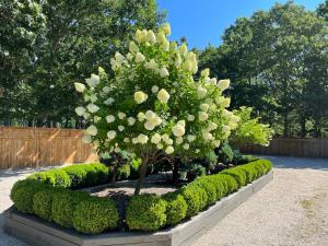 Giardino di Private completely fenced in property Near beach