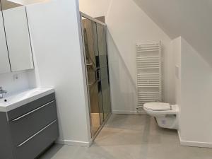 a white bathroom with a toilet and a shower at APPARTEMENT MODERNE DANS FERME DU 13éme SIECLE in Fontaine-Chaâlis