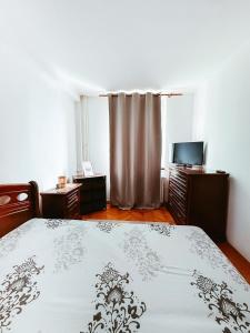 1 dormitorio con 1 cama con cortina y TV en Noah Downtown, en Timisoara