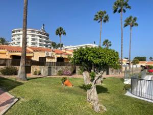 a park with a tree in front of a building at Santa Fe 7 Switte 2 in Maspalomas
