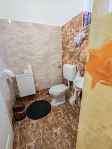 A bathroom at Komáromi Vendégház Erdőhorváti