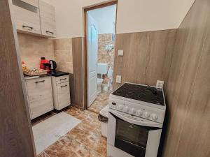 A kitchen or kitchenette at Komáromi Vendégház Erdőhorváti