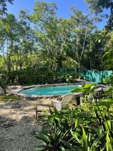 a swimming pool with two chairs in front of it at Cozumel Glamping in Cozumel