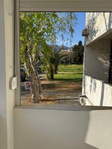 a window in a building with a view of a tree at Sanja apartman in Bar
