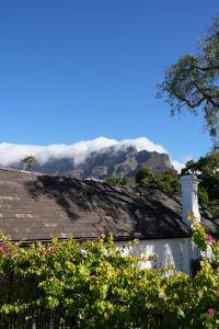 a view of the mountains from a house with flowers at âmé by NOAH in Cape Town