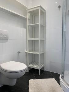 a white bathroom with a toilet and a shower at Francis50 2 in Ostend